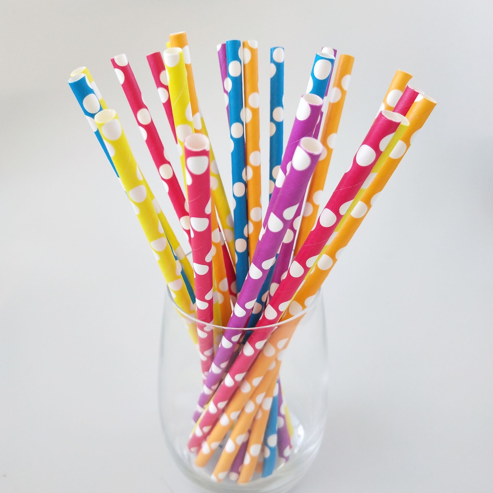 Classic Dots Pattern Jumbo Paper Straws